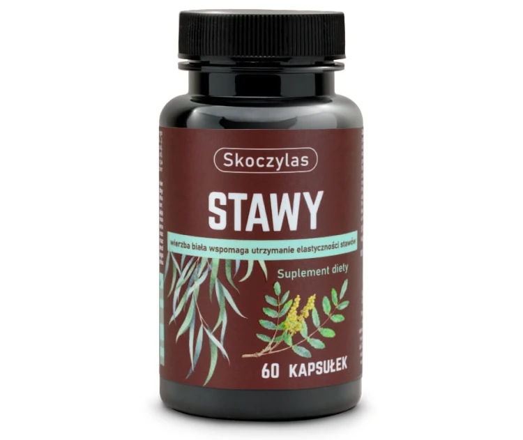 stawy_SKOCZYLAS.jpg